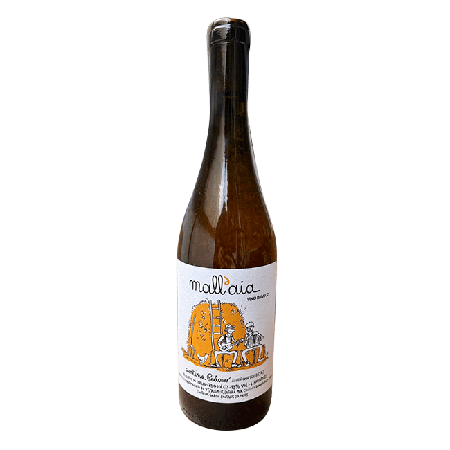Cantina Pulaio Cantina Pulaio | Mall'aia 2022 | 13,0% | Vino Bianco | 75 Cl. 75 CL Organic Beer