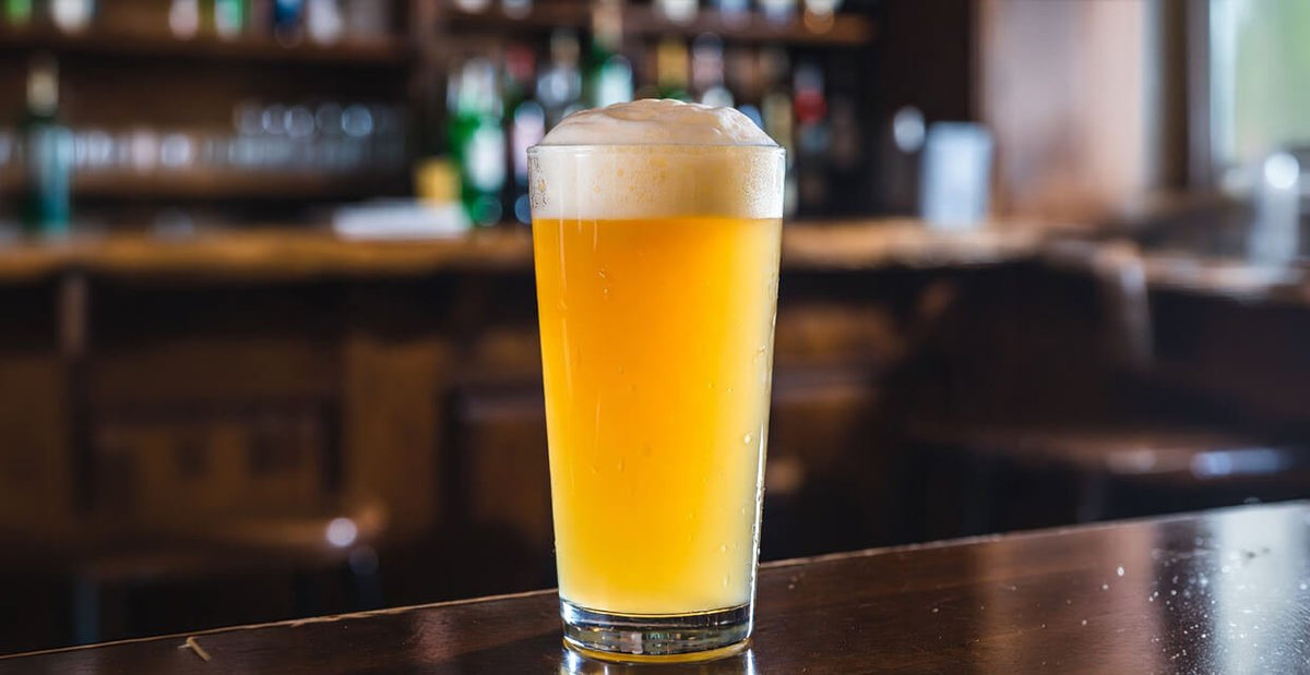 Session IPA: la birra perfetta per l'estate - Organic Beer