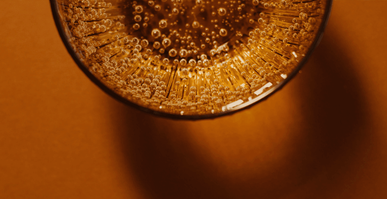 Sidro artigianale inglese: Cos'è, come si produce e perché merita un posto nel tuo frigo - Organic Beer