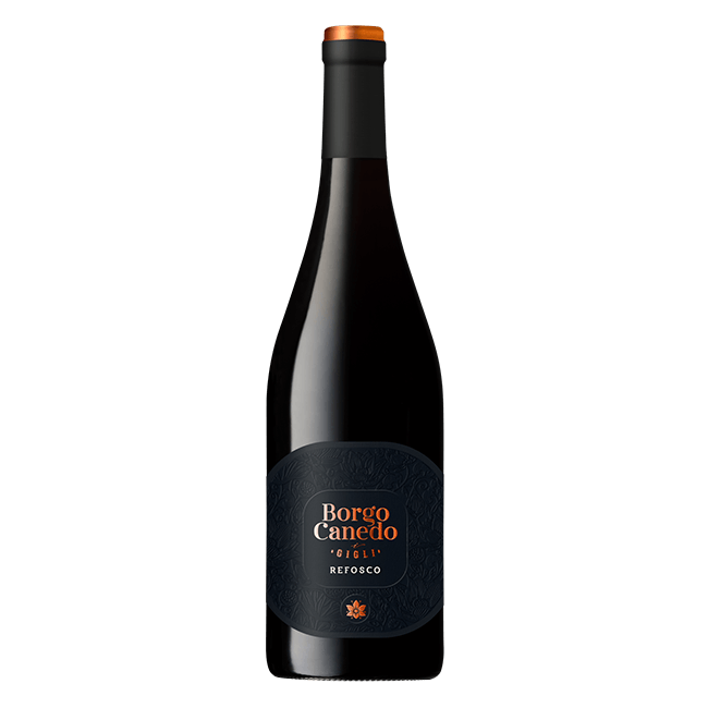 Borgo Canedo | Refosco IGT 2024 | 12,5% | 75 Cl.