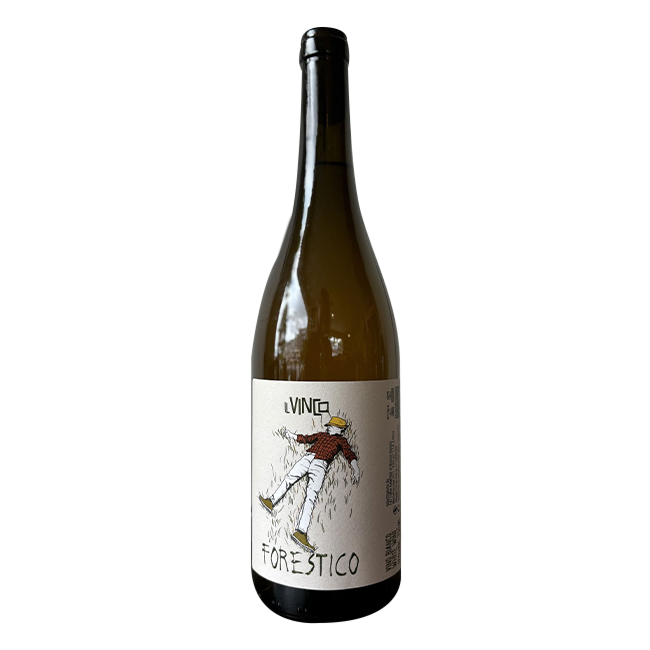 Il Vinco | Forestico 2024 | 11,5% | Vino Bianco 75 Cl.