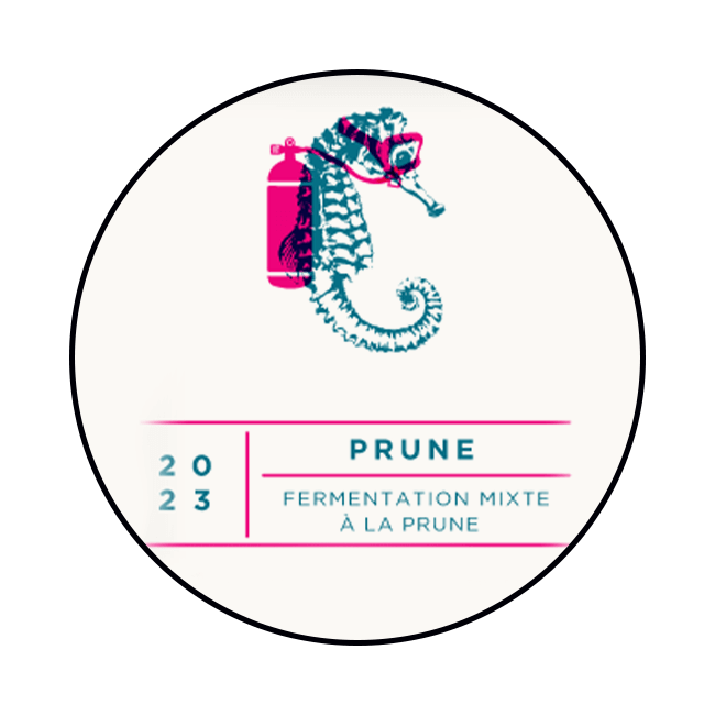 Sacrilège | Prune 2023 | 5,5% | Keykeg con Sacca 20 Lt.