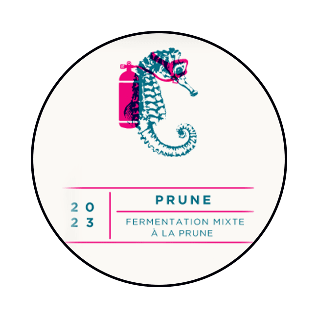 Sacrilège Sacrilège | Prune 2023 | 5,5% | Keykeg con Sacca 20 Lt. 20 LT Organic Beer