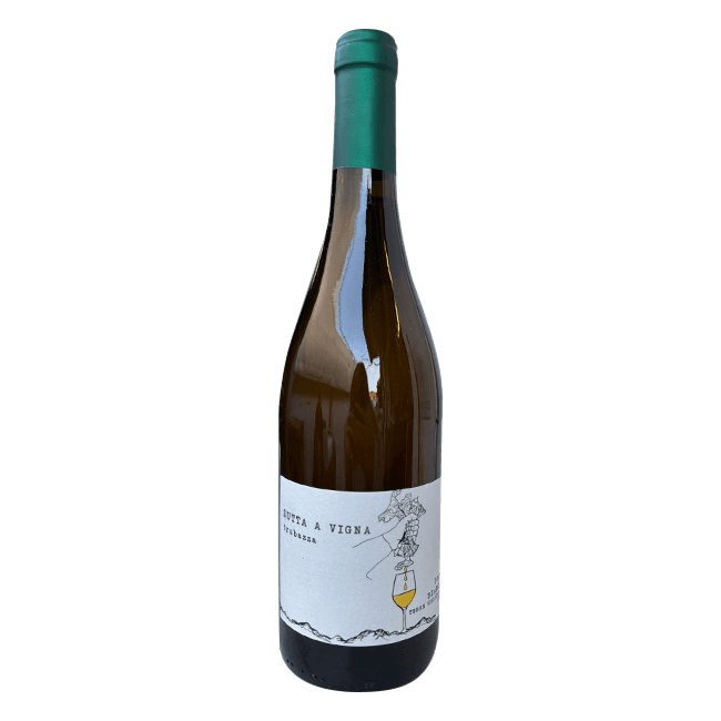 Sutta A Vigna Sutta A Vigna | Trubazza | 12,0% | Vino Bianco | 75 Cl. 75 CL Organic Beer