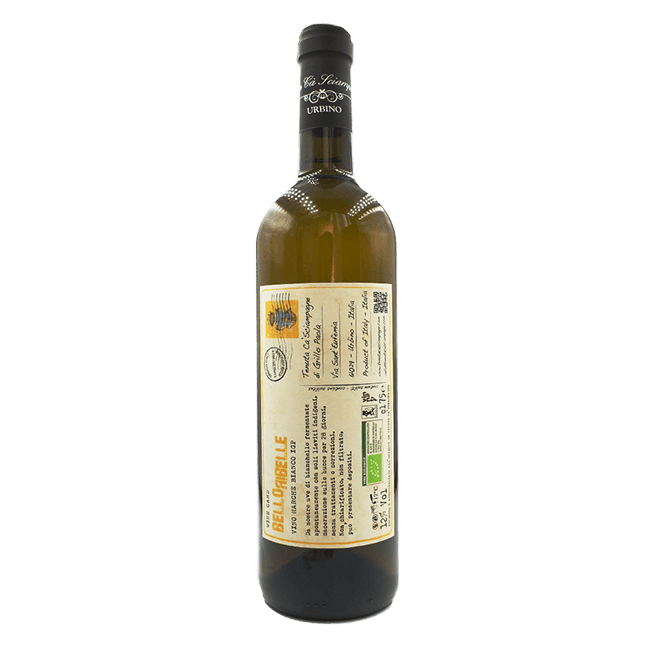 Tenuta Ca' Sciampagne | Bello Ribelle 2019 | 12% | Vino Bianco Naturale BIO | Ancestrale Rifermentato | Bottiglia 75 Cl.