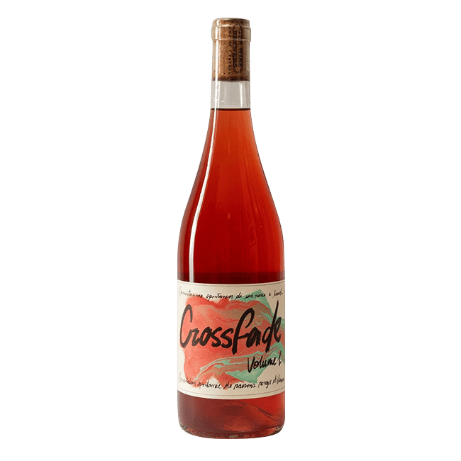 Terra Wild Spirits The Wine Brewers | Cross Fade 2022 | 13% | Bottiglia 75 Cl. VINO Organic Beer