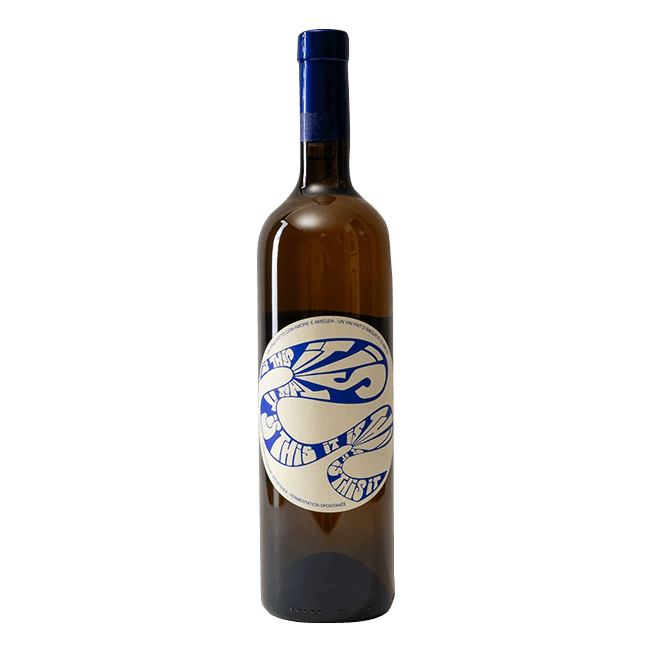 Terra Wild Spirits The Wine Brewers | Is This It 2022 | 12,5% | Bottiglia 75 Cl. VINO Organic Beer