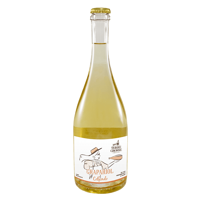 Terre Grosse Terre Grosse | Grapariol Colfondo IGT 2021 | 11,5% | Vino Bianco Frizzante 75 Cl. 75 CL Organic Beer