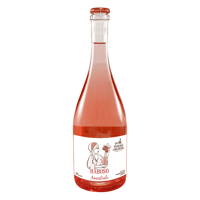 Terre Grosse Terre Grosse | Raboso Ancestrale IGT 2022 | 11,5% | Vino Rosato 75 Cl. 75 CL Organic Beer