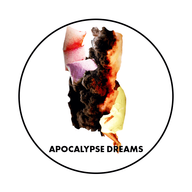 Keykeg 20 Lt. della birra artigianale Apocalypse Dreams di Whiplash Beer, Dublino