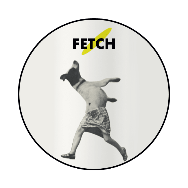 Keykeg 30 Lt. della birra artigianale Fetch di Whiplash Beer, Dublino