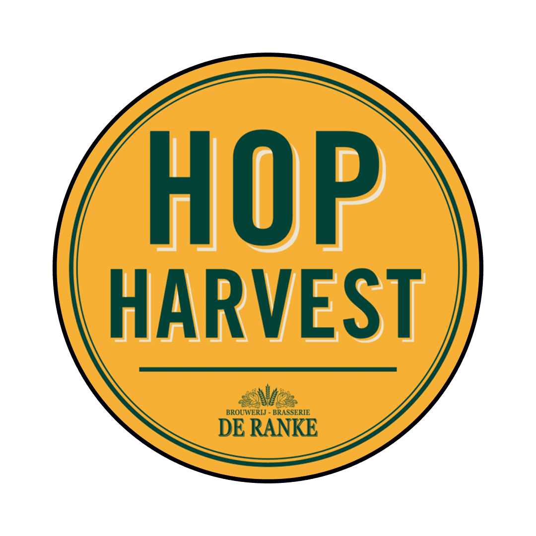 Fusto Acciaio 20 Lt. della birra artigianale Hop Harvest della Brouwerij De Ranke, Dottignies