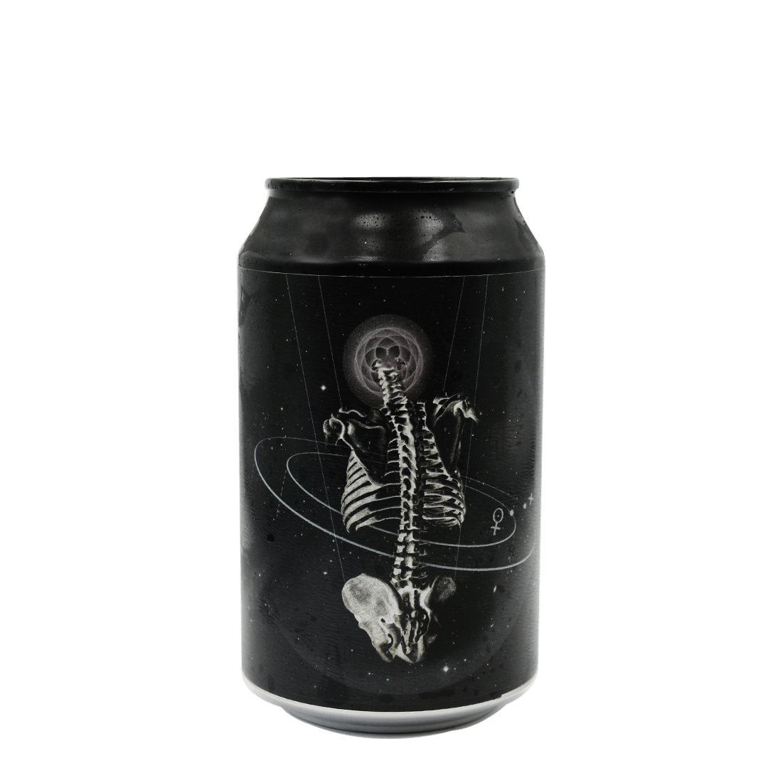 Ritual Lab Ritual Lab | Choco Porter | 9,2% | Lattina 33 Cl. (Ct 12 Pz) 33 CL Organic Beer