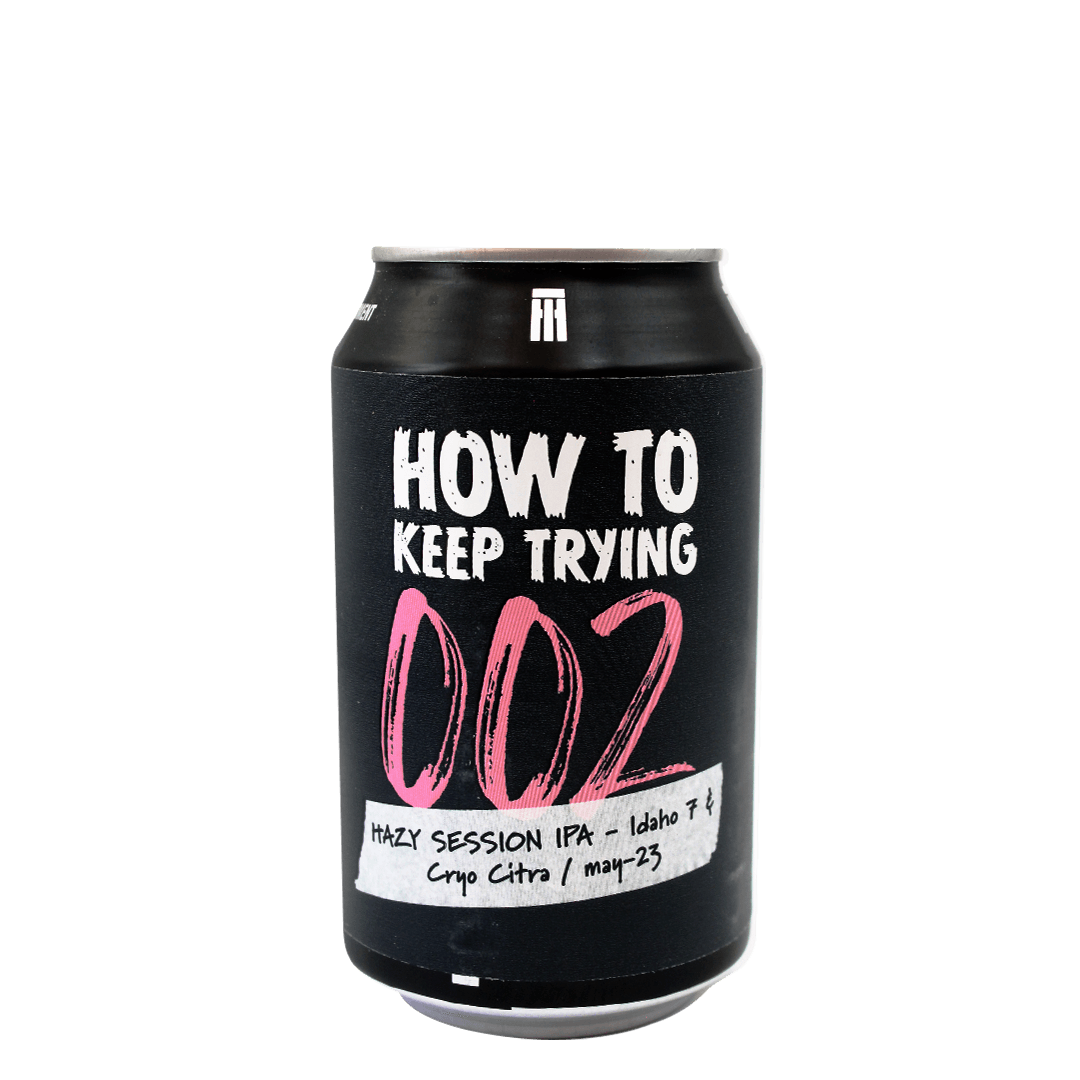 This is How This is How | How to Keep Trying 002 | 4,7% | 33 Cl. (Ct 24 Pz) 33 CL Organic Beer